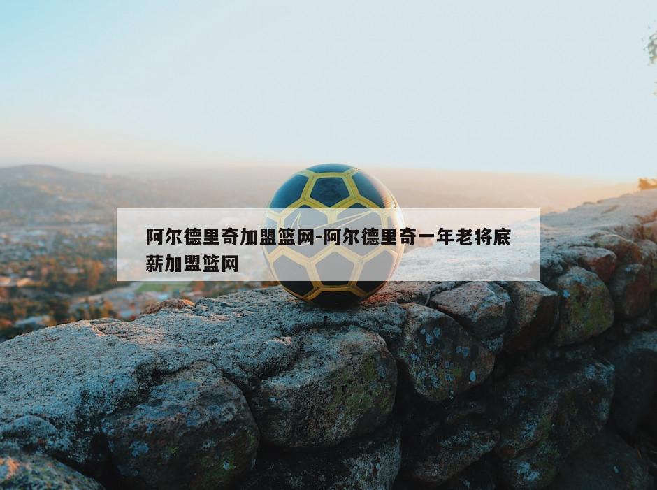 阿尔德里奇加盟篮网-阿尔德里奇一年老将底薪加盟篮网