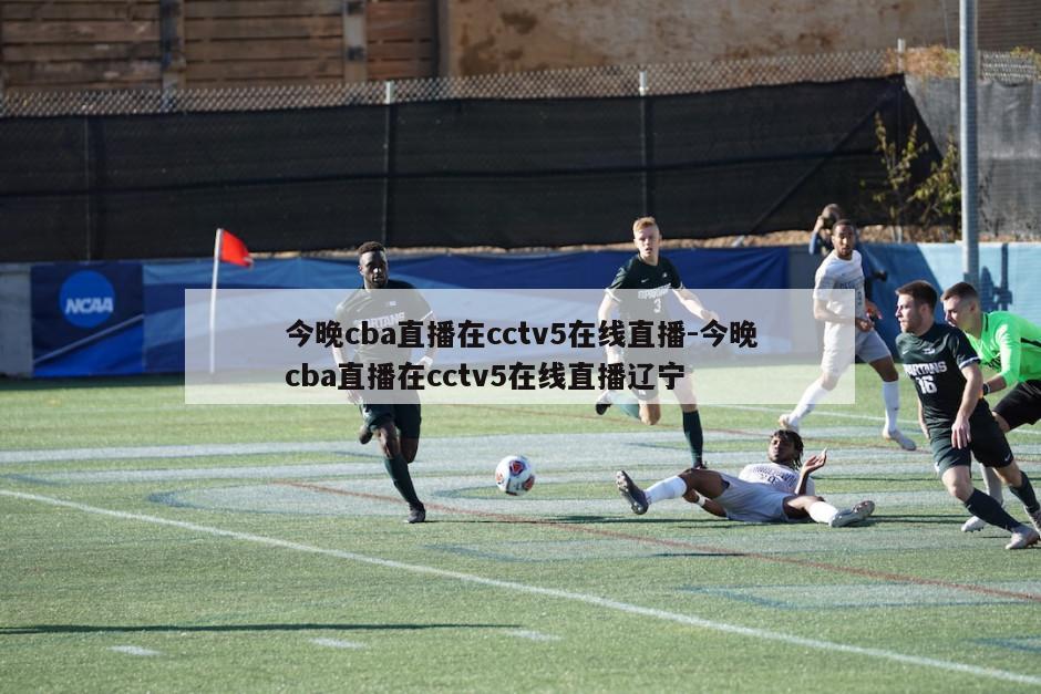 今晚cba直播在cctv5在线直播-今晚cba直播在cctv5在线直播辽宁