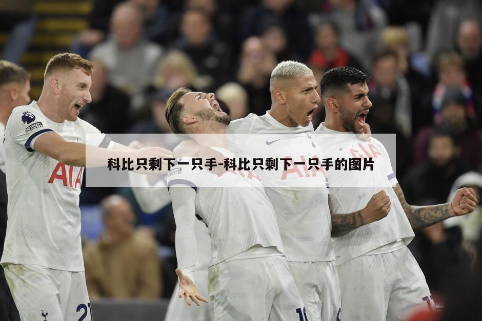 科比只剩下一只手-科比只剩下一只手的图片