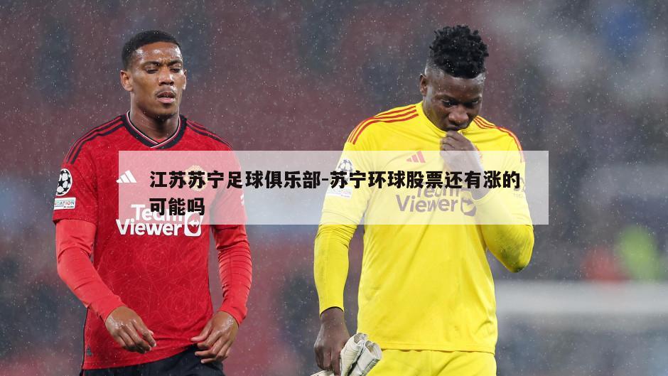 江苏苏宁足球俱乐部-苏宁环球股票还有涨的可能吗