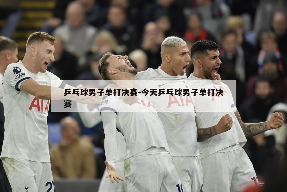 乒乓球男子单打决赛-今天乒乓球男子单打决赛