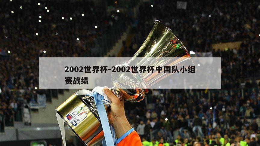 2002世界杯-2002世界杯中国队小组赛战绩