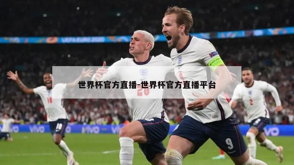世界杯官方直播-世界杯官方直播平台