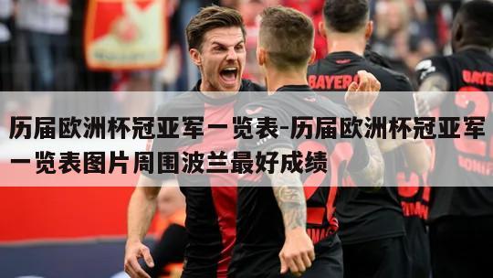 历届欧洲杯冠亚军一览表-历届欧洲杯冠亚军一览表图片周围波兰最好成绩